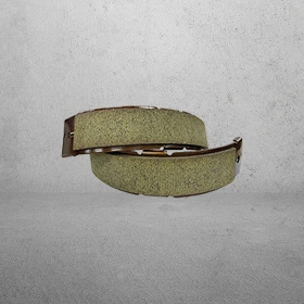 Brake Shoe